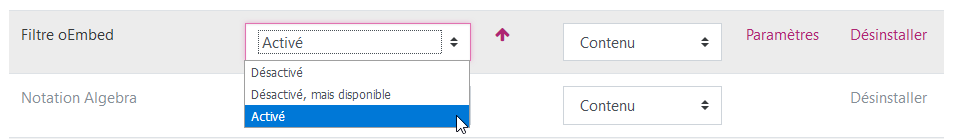 Activating the oEmbed filter